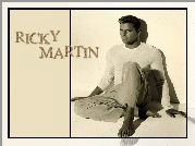 Piosenkarz, Ricky Martin