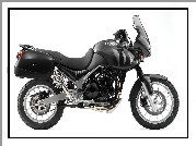 Triumph Tiger 955i, Kufry, Boczne