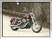 Harley Davidson Dyna Street Bob, Silnik, Szprychy