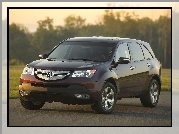 Acura MDX, Emblemat, Reflektor