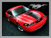 Ford Mustang, Grafika