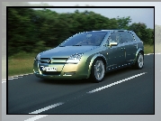 Opel Signum