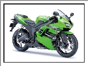 Kawasaki ZX-6RR Ninja