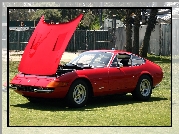 Ferrari Daytona, Otwarta, Maska