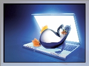 Linux, Laptop