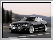 Czarne, Audi A5, S5