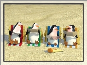 Pingwiny Z Madagaskaru, The Penguins of Madagascar, Pingwiny, Plaża