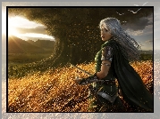Wojowniczka, Fantasy