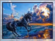 Koń, Zachód, Słońca, Plaża
