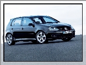 Volkswagen Golf 5, Czarny