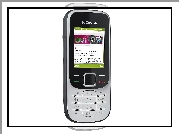 Nokia 2320, Srebrna