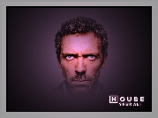 Dr. House, Hugh Lauriego, Głowa