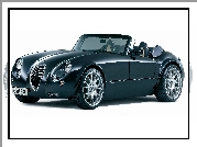 Wiesmann MF3, Halogeny, Lusterka