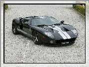 Ford GT, Wloty, Maska