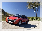 Czerwony, Smart Roadster