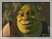 Shrek 1, ogr