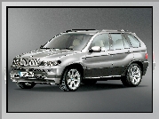 Bmw X5, E53