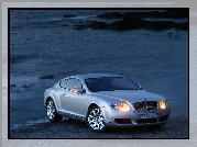 Bentley Continental GT, Kierunkowskazy