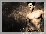 Taylor Lautner