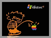 Windows, XP, Kontra, Apple