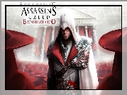 Assassins Creed, Brotherhood