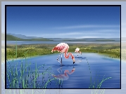 Jezioro, Dwa, Flamingi, Grafika 2D