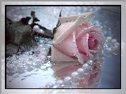 Różowa, Róża, Perły