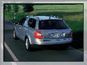Audi A4, Avant, Łąki
