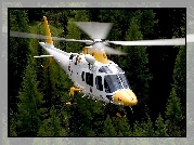 Augusta, Westland, AW-109, Las, Patrol