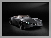 BMW Gina Light Visionary Concept, 2008