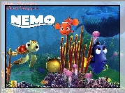 Gdzie jest Nemo, Finding Nemo, Bohaterowie