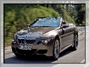 E63, Cabrio