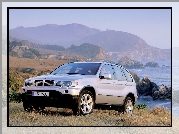 Bmw X5, E53