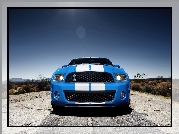 Shelby, Ford Mustang