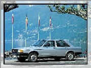 Audi 100 GL