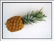 Ananas, Zielony, Pióropusz