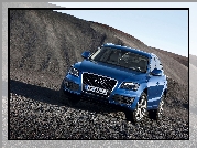 Niebieskie, Audi Q5