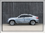 BMW X6, Dynamics, Efficient
