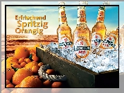 Pomarańczowe, Piwo, Becks