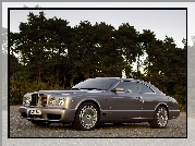 Bentley Brooklands, Spryskiwacze, Reflektorów