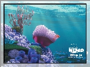 Film animowany, Gdzie jest Nemo, Finding Nemo, Rafa