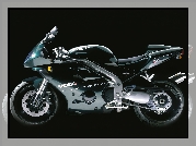 Triumph Daytona 955i