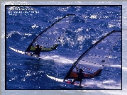 Windsurfing, surferzy