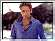 David Duchovny,niebieska koszula