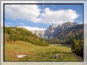 Zakopane, Góry, Łąka