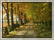 Jesień, Dzewa, Droga, Park