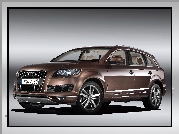 Audi Q7, Wielki, Grill