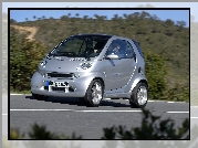 Srebrny, Smart Fortwo