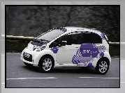 Citroen C-Zero, Droga