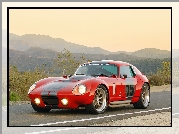 Ford Shelby Cobra Daytona